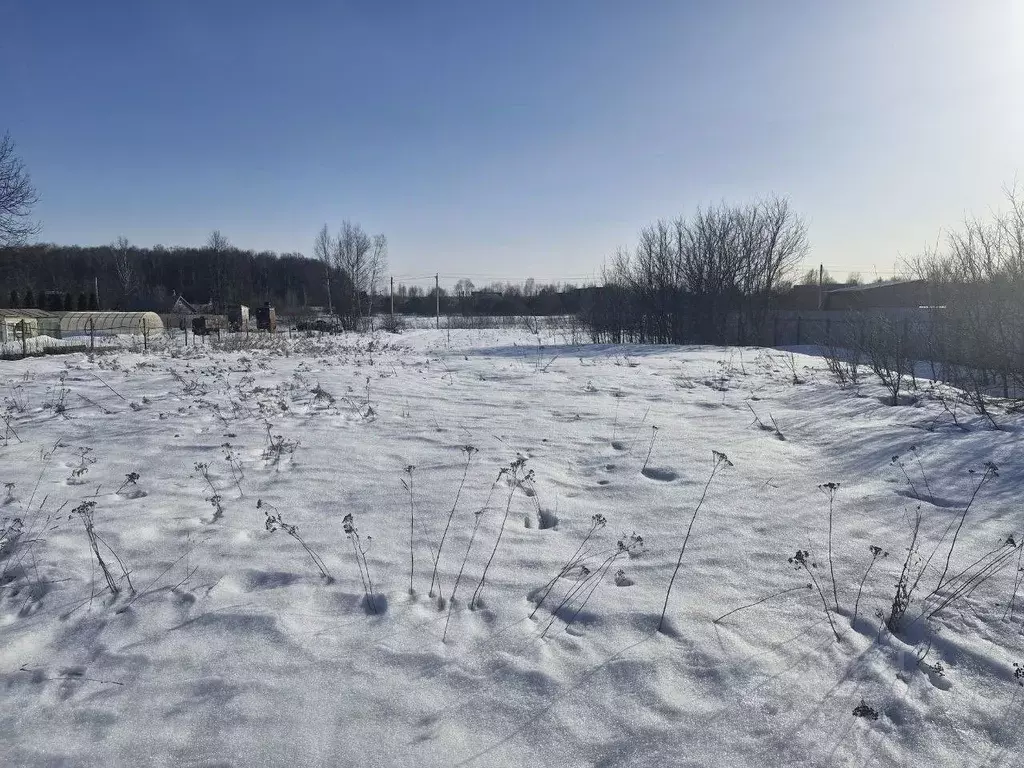 Участок в Московская область, Ступино городской округ, д. ... - Фото 1