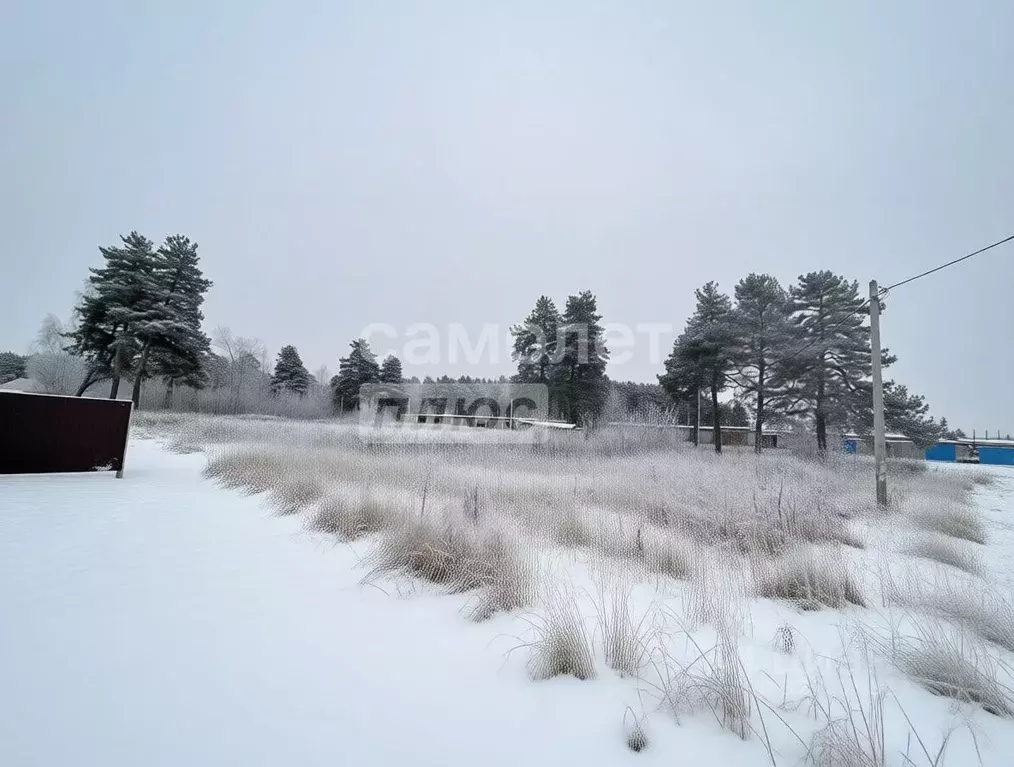 Участок в Московская область, Воскресенск городской округ, Хорлово пгт ... - Фото 1