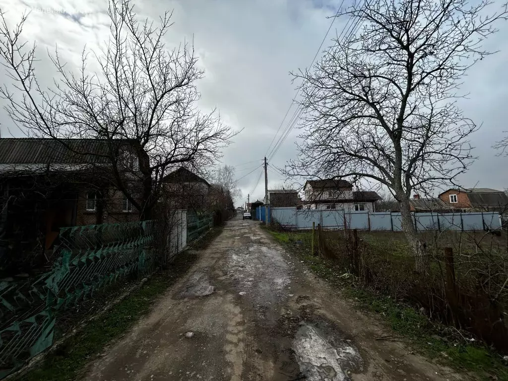 Участок в Мясниковский район, Краснокрымское сельское поселение, хутор ... - Фото 2