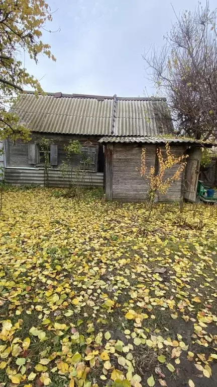 Участок в Саратовская область, Энгельсский район, Красноярское ... - Фото 2
