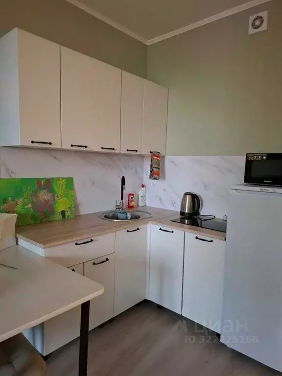 Студия Свердловская область, Екатеринбург ул. Чапаева, 79 (28.0 м) - Фото 1