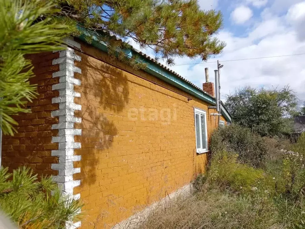 Дом в Омская область, Марьяновский район, д. Голенки Дорожная ул. (75 ... - Фото 0