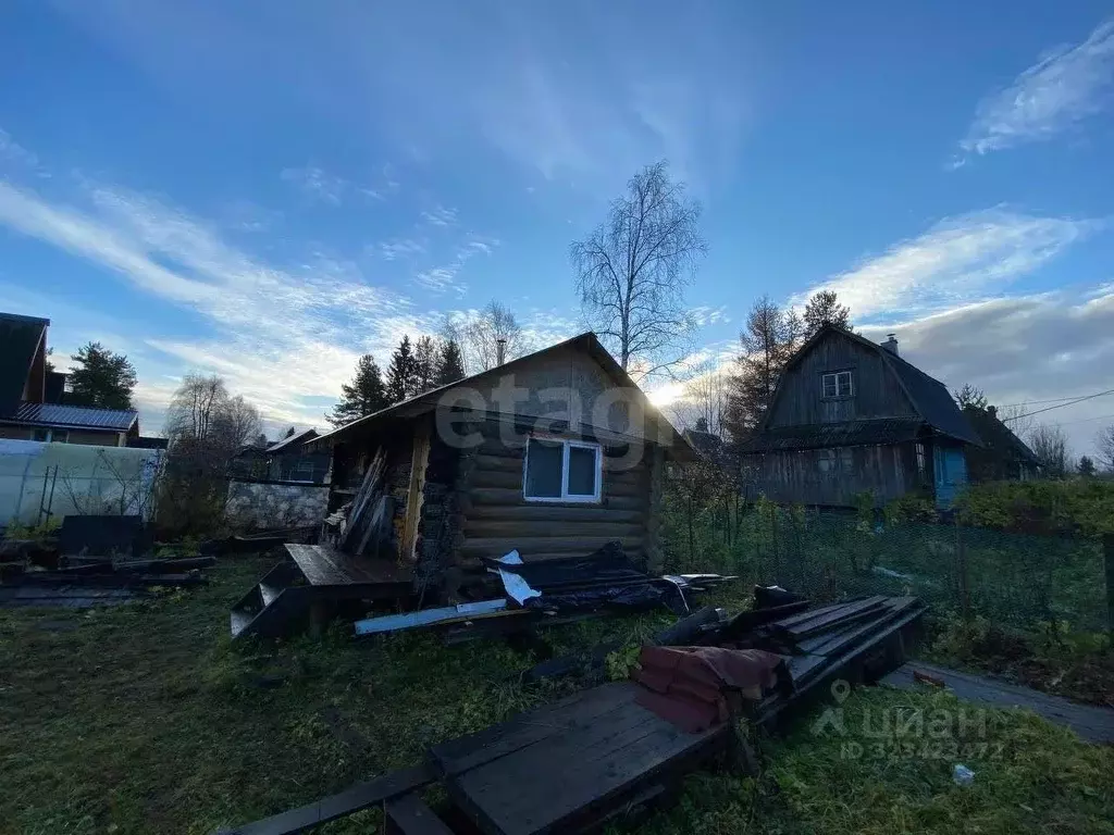 Участок в Архангельская область, Приморский муниципальный округ, ... - Фото 1