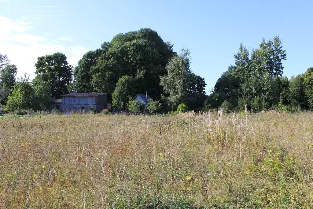 Купить Участок В Гдовском Районе Псковской