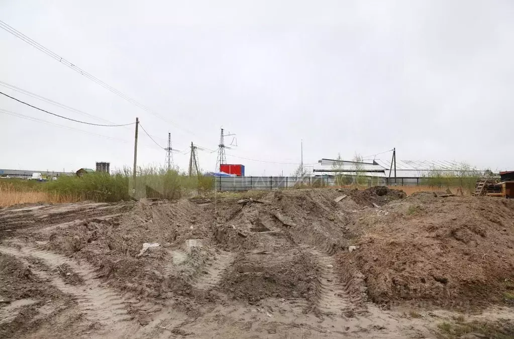 Участок в Тюменская область, Тюмень Малинка садовое товарищество, ул. ... - Фото 1