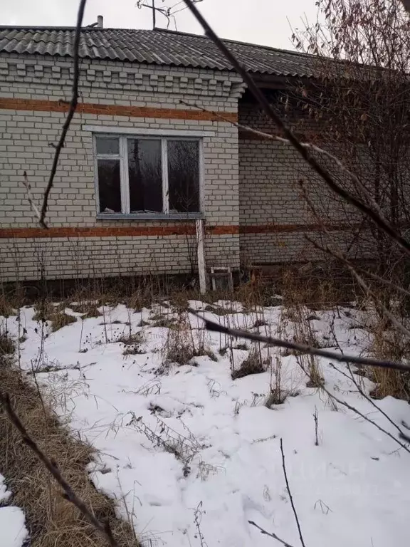 Помещение свободного назначения в Курганская область, Щучанский ... - Фото 1