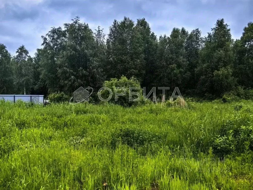 Участок в Тюменская область, Тюмень Якорь садовое товарищество, ул. ... - Фото 0