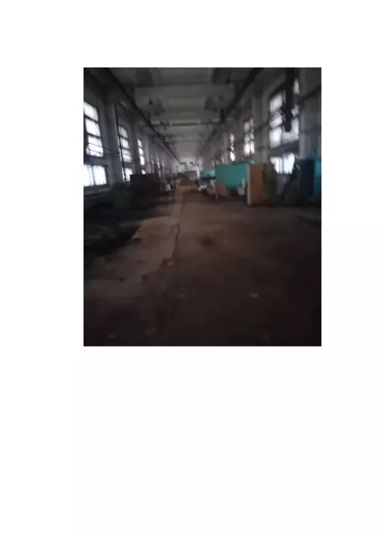 Помещение свободного назначения в Новосибирская область, Новосибирский ... - Фото 1