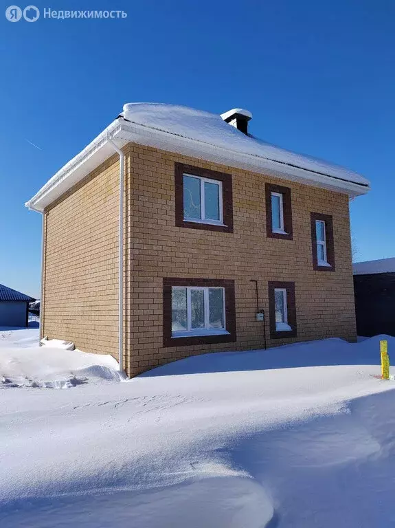 Дом в Нижегородская область, муниципальный округ Бор, деревня ... - Фото 1