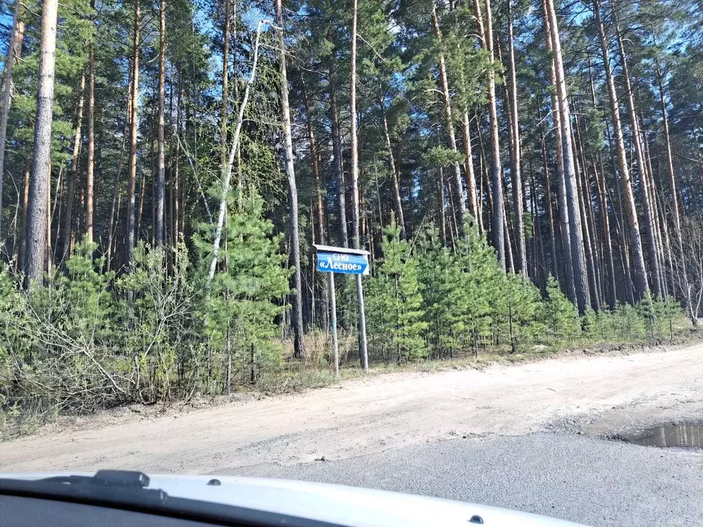 Дом в Курганская область, Кетовский муниципальный округ, Лесное СНО ... - Фото 1