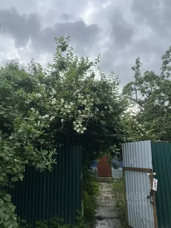 Дом в Московская область, Раменский муниципальный округ, д. Юрово ул. ... - Фото 1