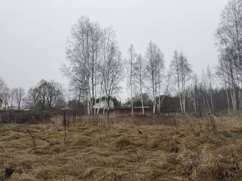 Участок в Калужская область, Перемышльский муниципальный округ, ... - Фото 2