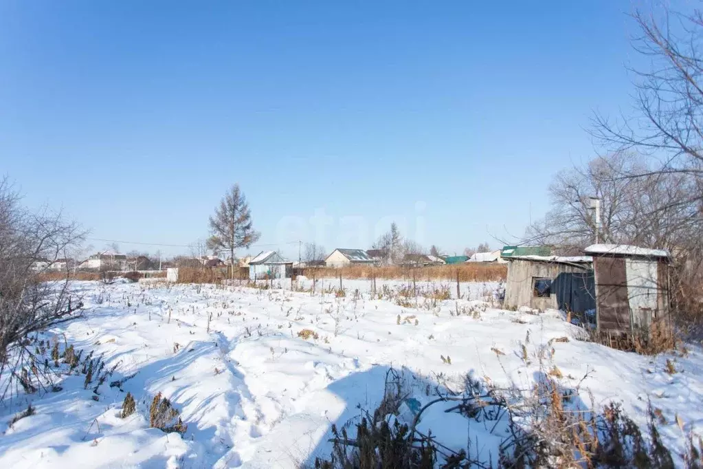 Участок в Хабаровский край, Хабаровский район, Тополевское с/пос, с. ... - Фото 2