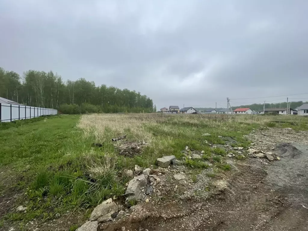 Участок в Челябинская область, Сосновский район, Кременкульское с/пос, ... - Фото 1