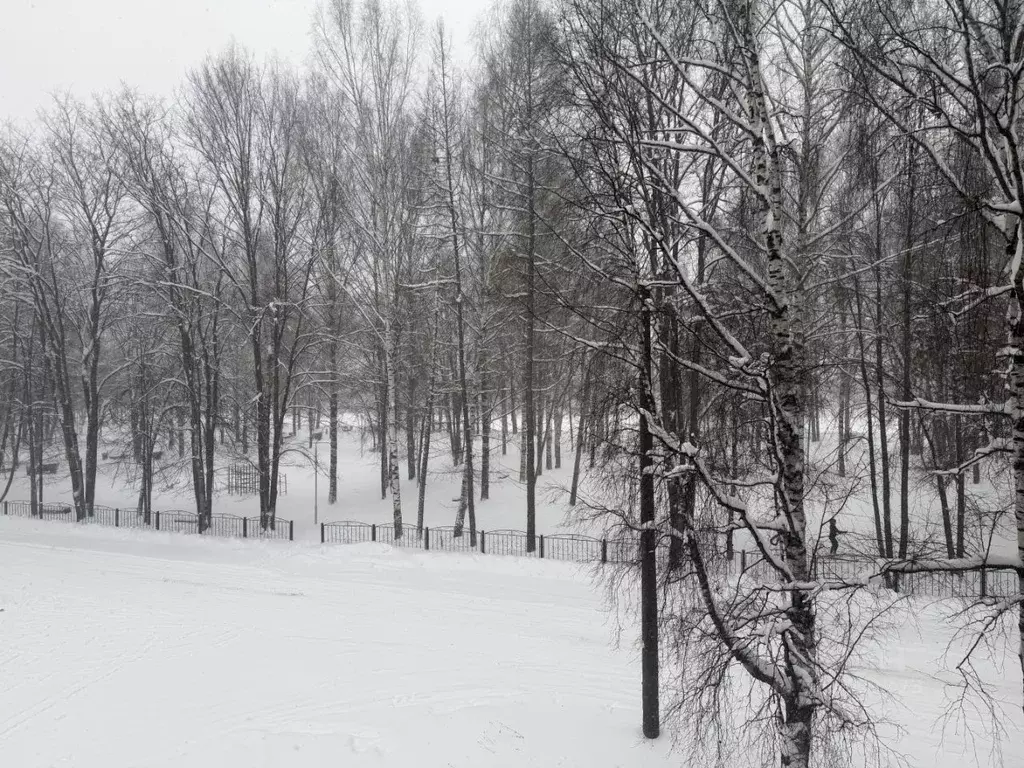 2-к кв. Кировская область, Юрьянский район, Мурыгино пгт Набережная ... - Фото 2