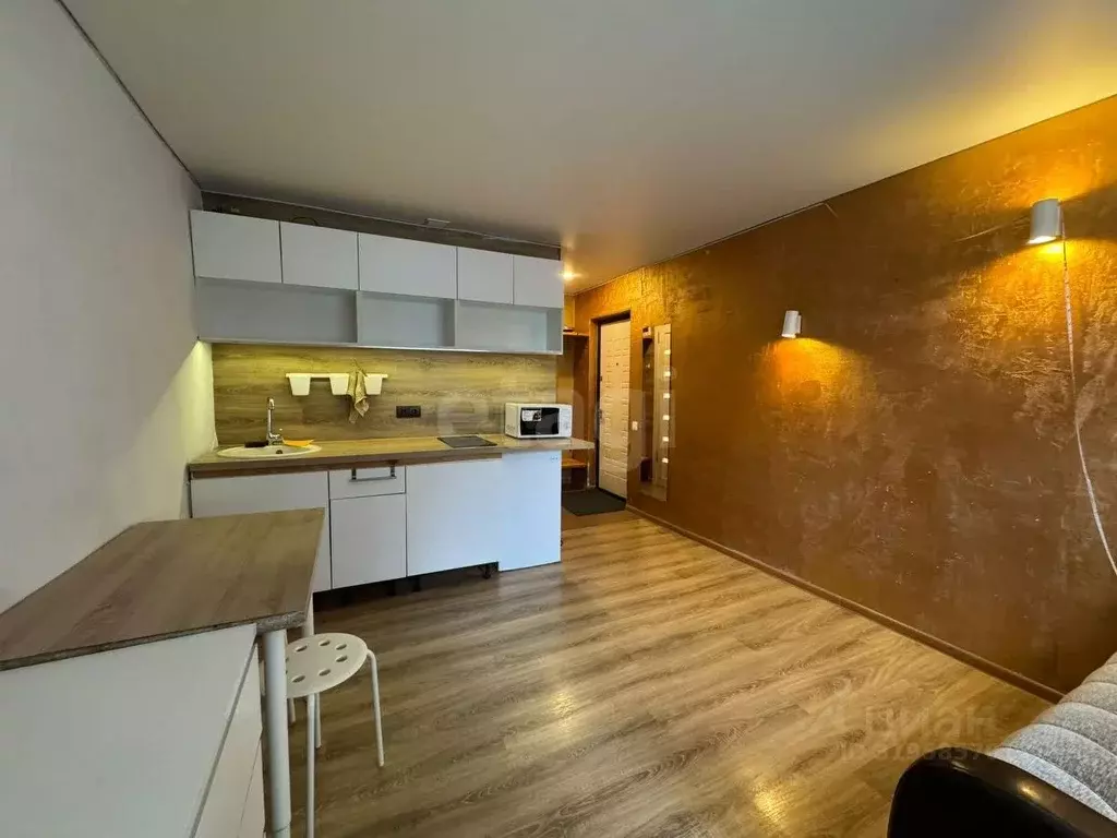 Студия Владимирская область, Муром Заводская ул., 10 (18.8 м) - Фото 1