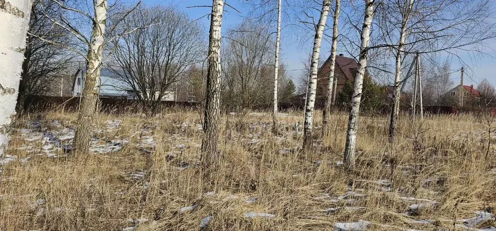 Участок в Московская область, Луховицы  (12.0 сот.) - Фото 1