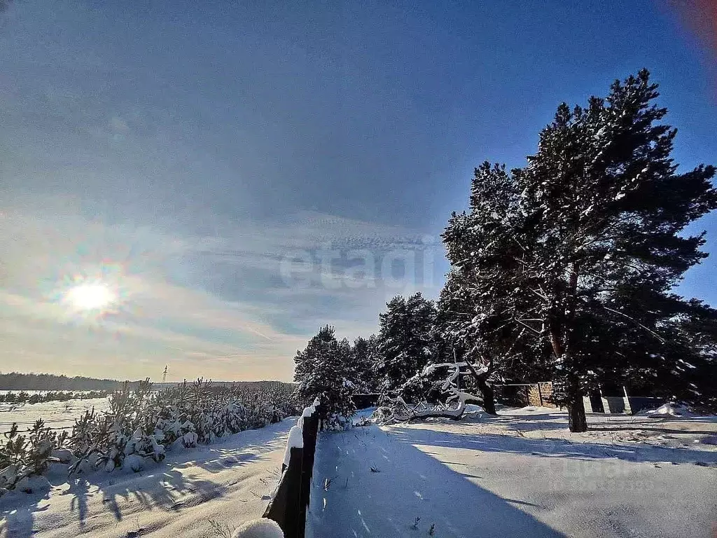 Участок в Владимирская область, Ковровский муниципальный округ, д. ... - Фото 2