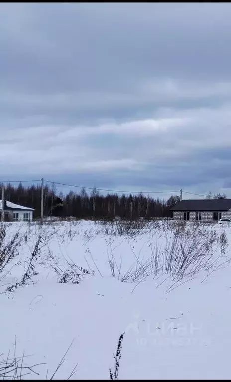 Участок в Костромская область, Кострома Соколиное Гнездо кп, 1 (7.0 ... - Фото 1