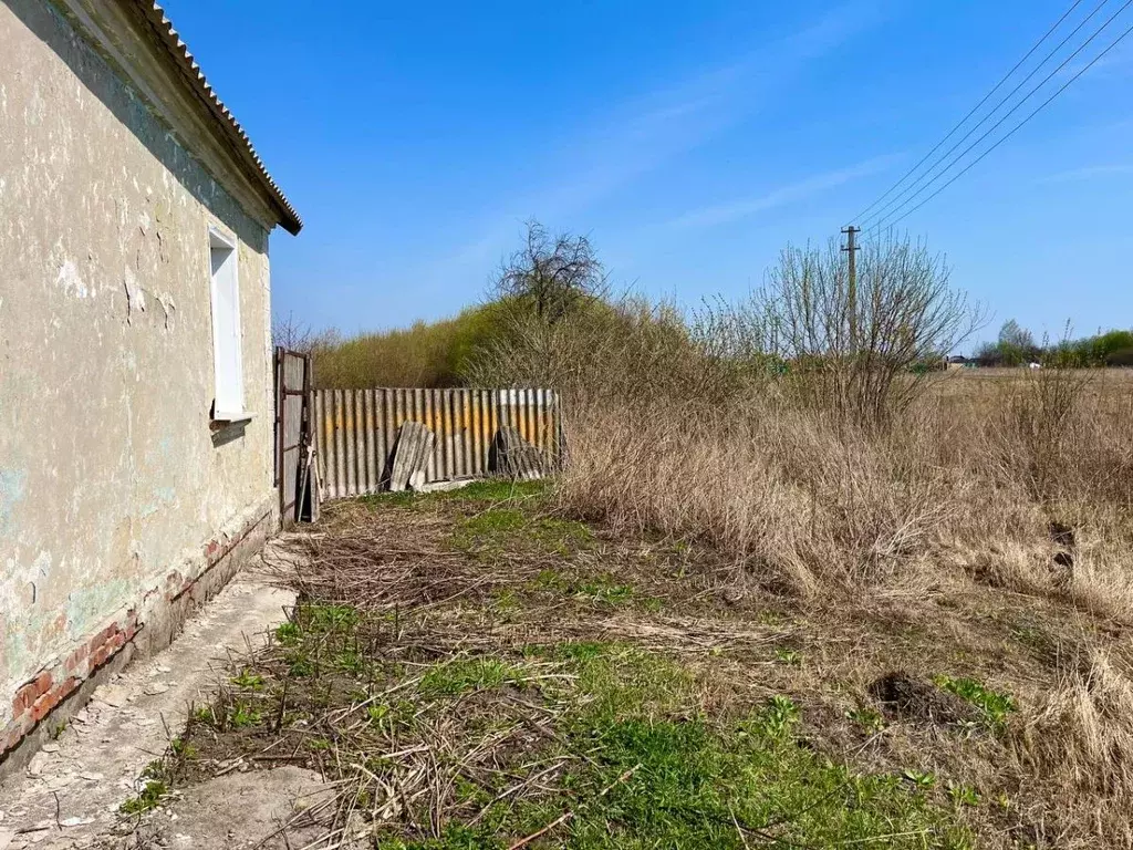 Дом в Курская область, Курский район, Бесединский сельсовет, д. 1-е ... - Фото 1