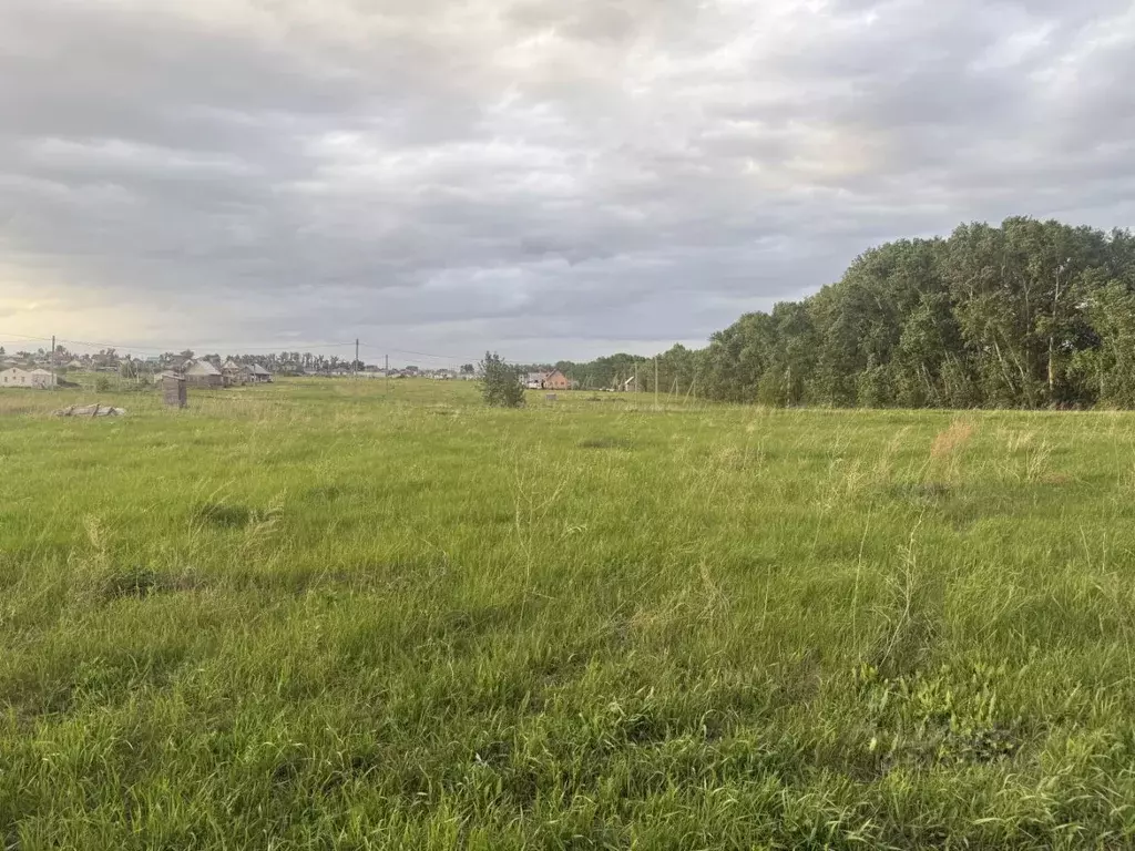 Участок в Алтайский край, Барнаул городской округ, пос. Центральный ... - Фото 1
