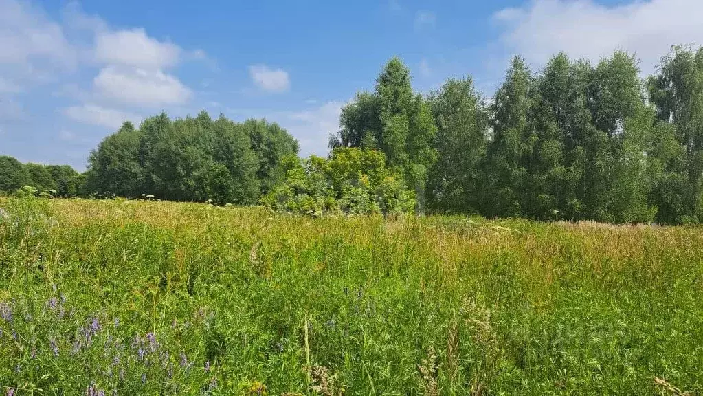 Участок в Калужская область, Малоярославецкий район, Прудки с/пос, д. ... - Фото 2