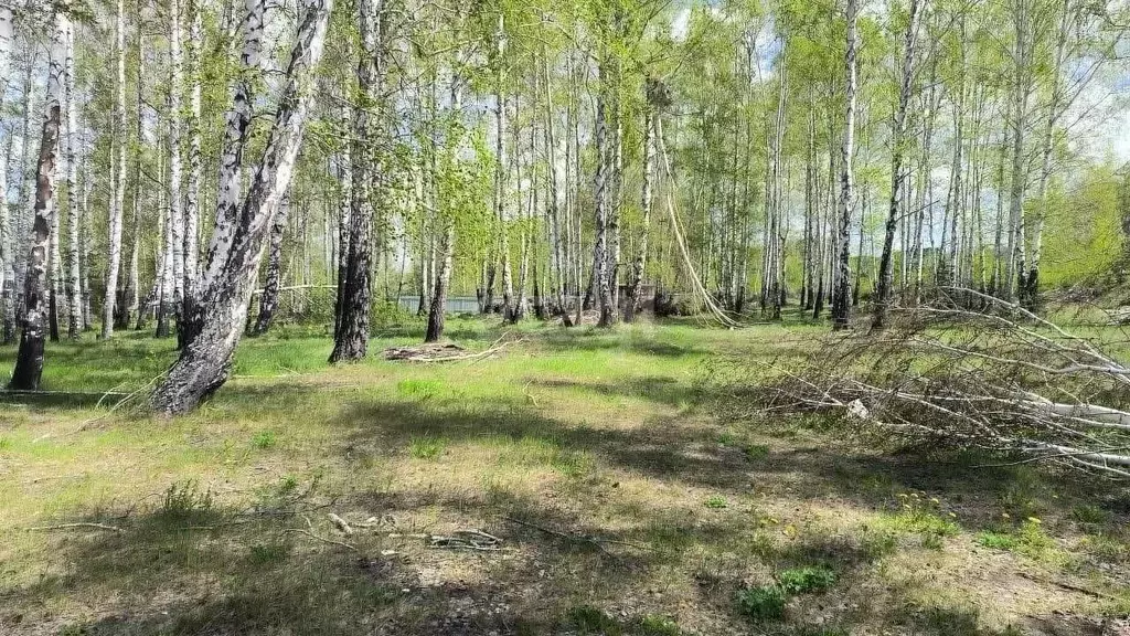 Участок в Свердловская область, Екатеринбург муниципальное ... - Фото 1