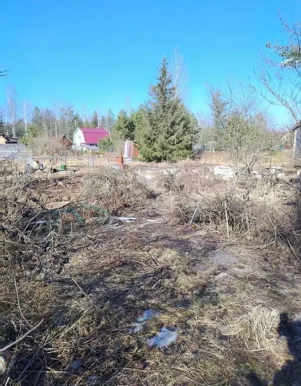 Участок в Ленинградская область, Кировское городское поселение, ... - Фото 2