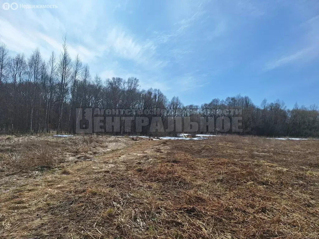 Участок в Смоленский муниципальный округ, деревня Дрюцк (20 м) - Фото 2