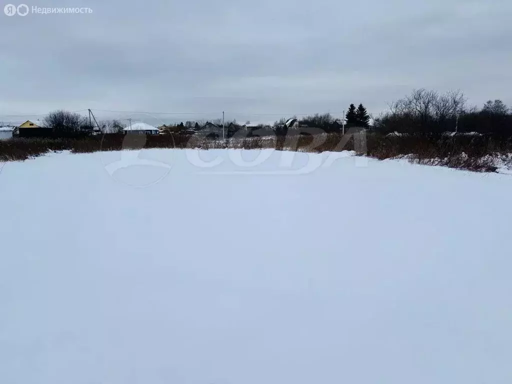 Участок в Тюмень, садовое товарищество Рябинка-2 (8 м) - Фото 2