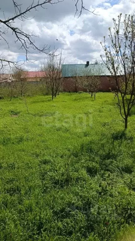 Участок в Краснодарский край, Щербиновский район, Новощербиновская ... - Фото 0