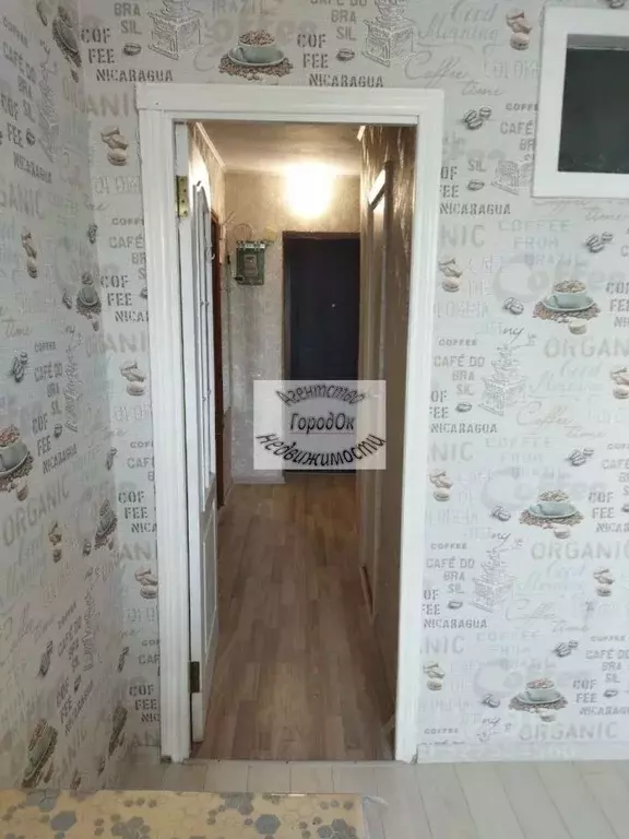 1-к кв. Крым, Саки ул. Ивановой, 5 (31.7 м) - Фото 2