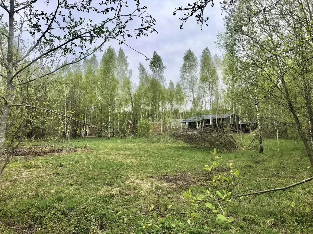Участок в Московская область, Дмитровский муниципальный округ, д. ... - Фото 1