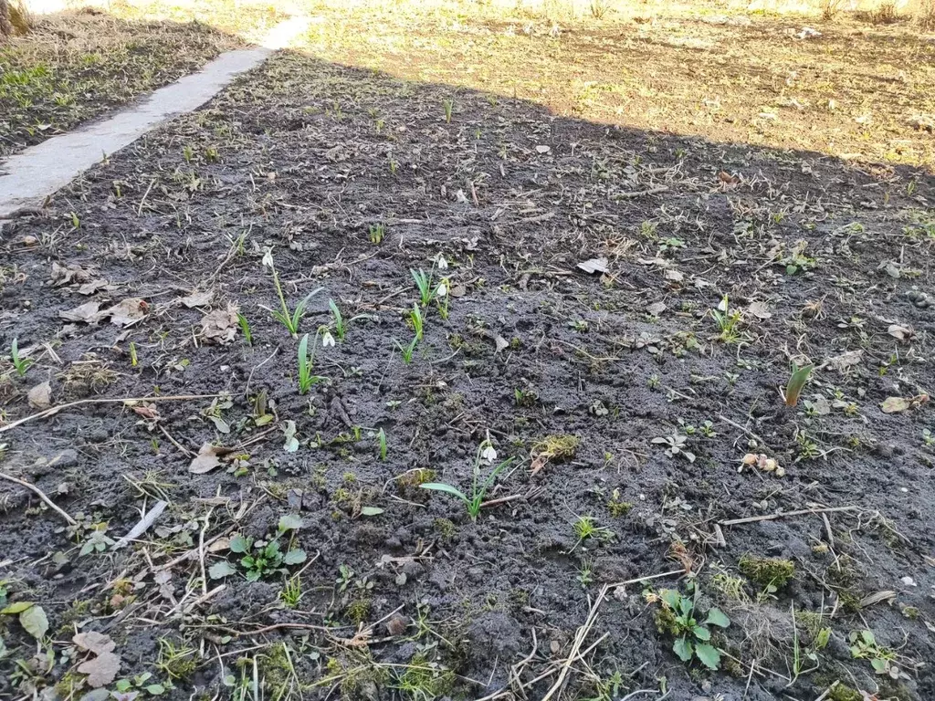 Участок в Нижегородская область, Нижний Новгород № 1 Малышево СНТ, 284 ... - Фото 1