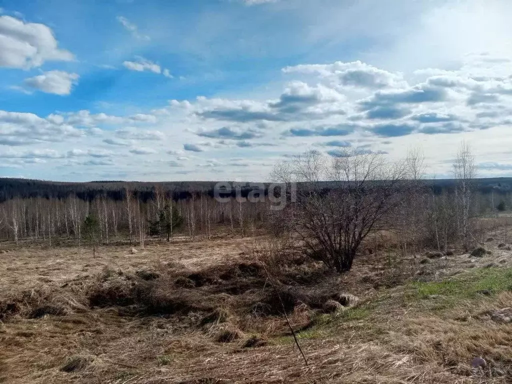 Участок в Нижегородская область, Богородский муниципальный округ, д. ... - Фото 0