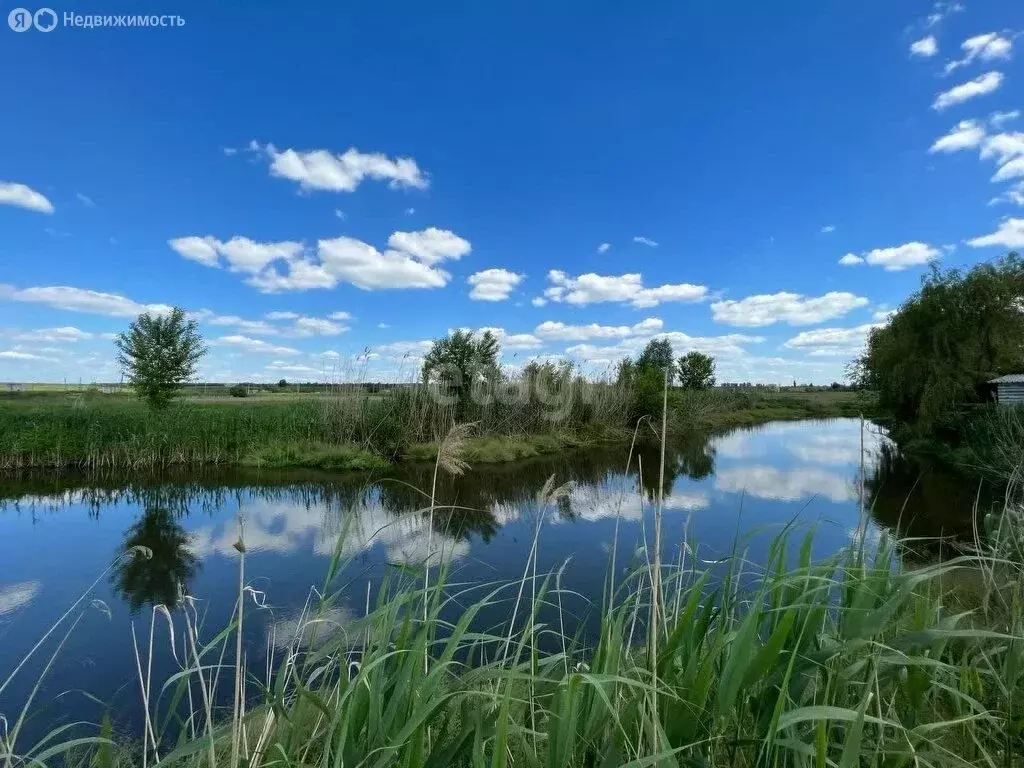 Участок в село Беломестное, Набережная улица (20 м) - Фото 1