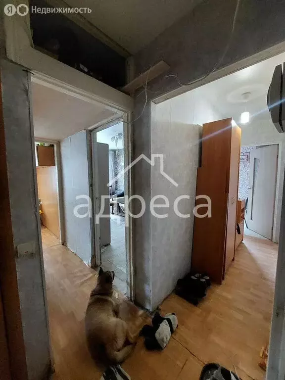 2-комнатная квартира: Самара, переулок Карякина, 5 (41.4 м) - Фото 1