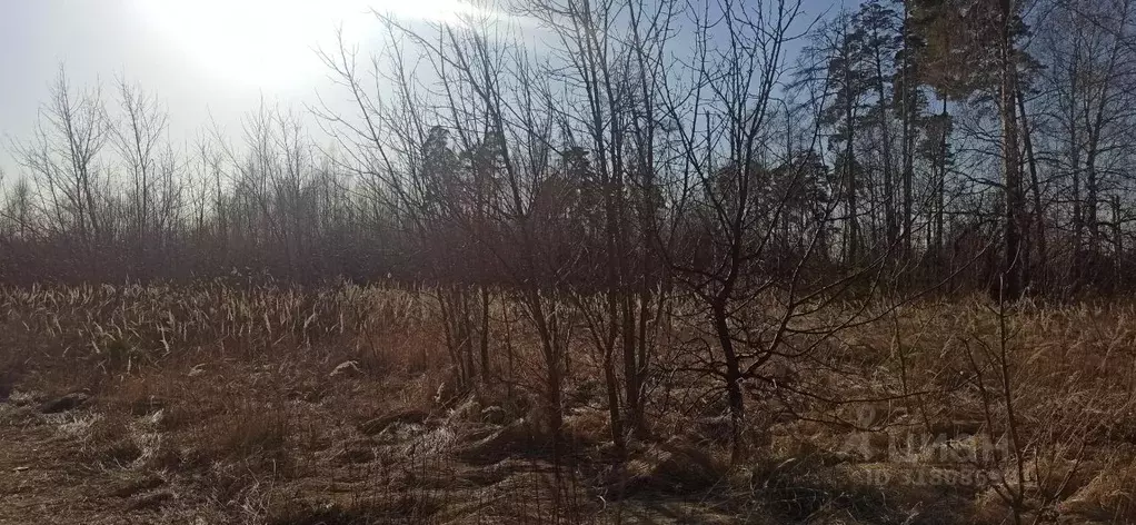 Участок в Московская область, Шатура  (15.04 сот.) - Фото 0