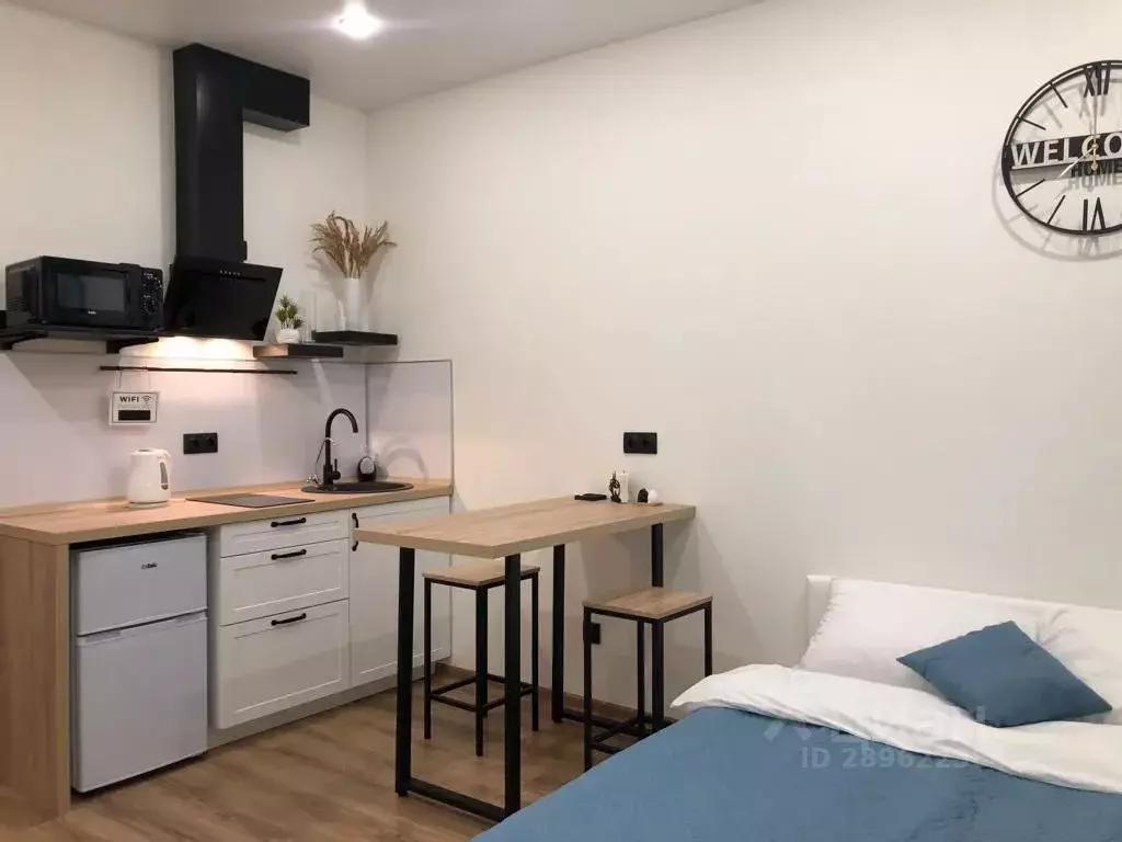 Студия Московская область, Химки городской округ, д. Рузино, ... - Фото 2