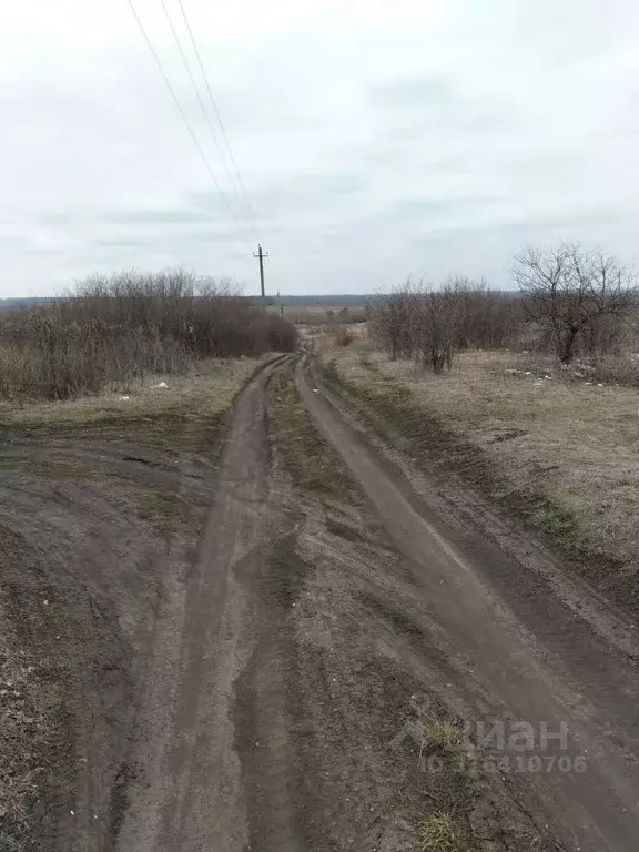 Участок в Тамбовская область, Тамбов Садовая ул. (7.8 сот.) - Фото 1
