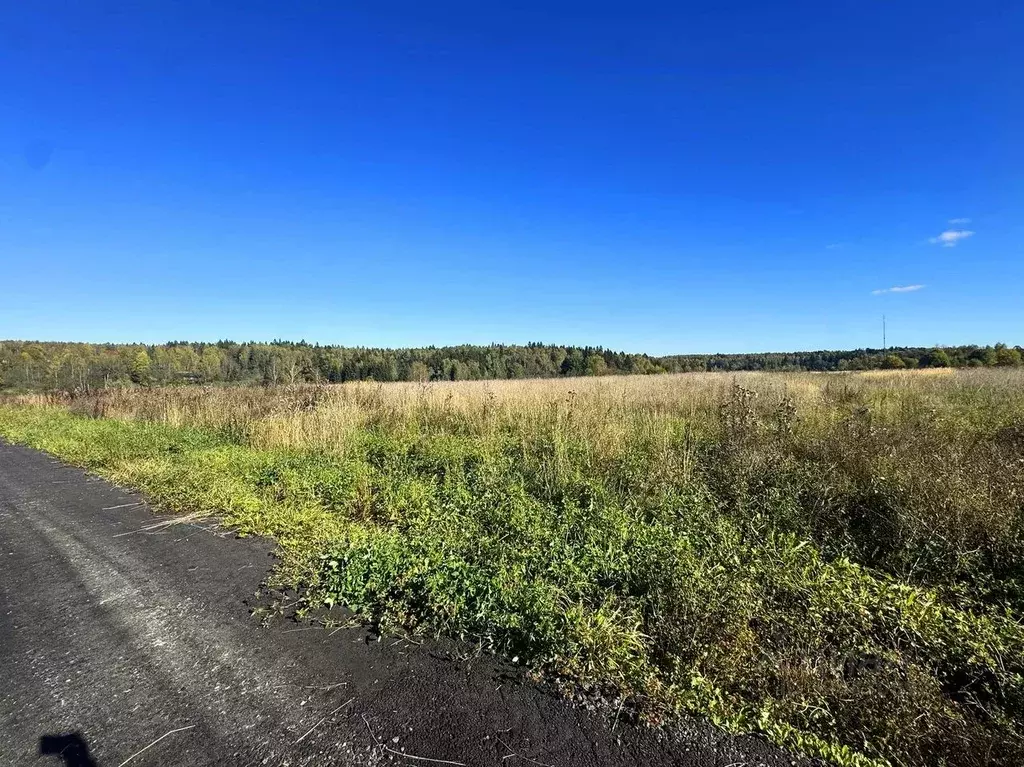 Участок в Московская область, Дмитровский муниципальный округ, ... - Фото 1