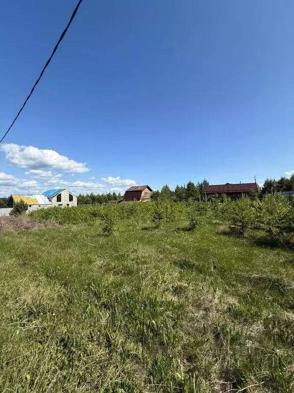 Участок в Иркутская область, Иркутский муниципальный округ, д. ... - Фото 2