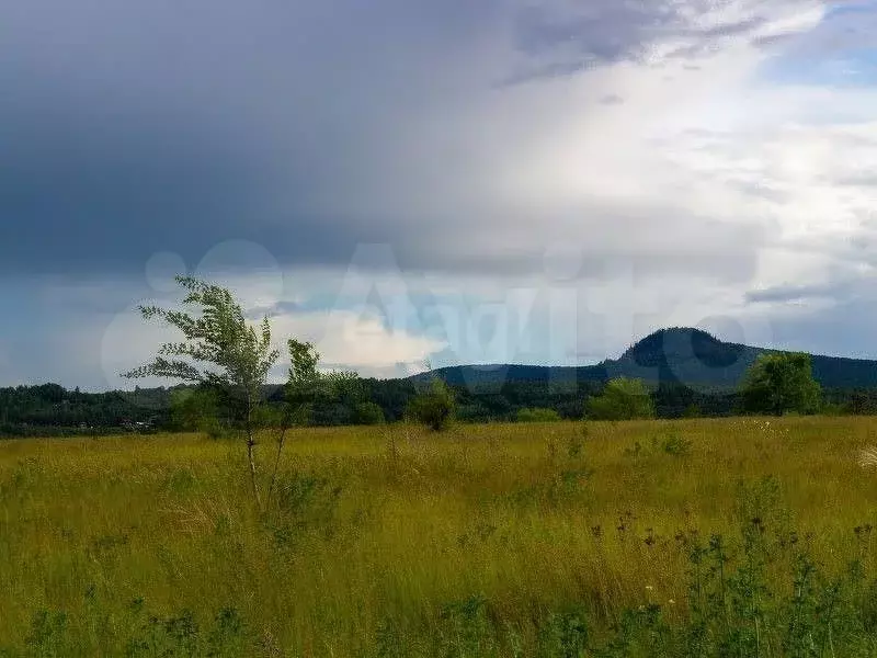 Участок 5 га (СНТ, ДНП) - Фото 0