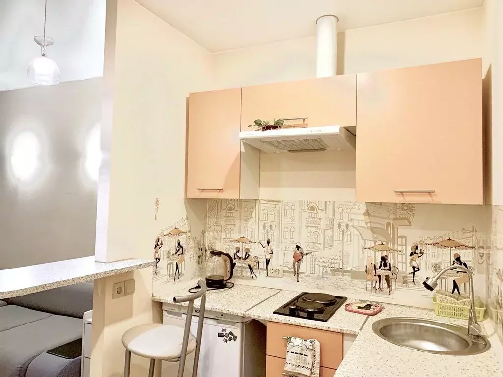 Студия Санкт-Петербург ул. Маршала Тухачевского, 23 (28.0 м) - Фото 2