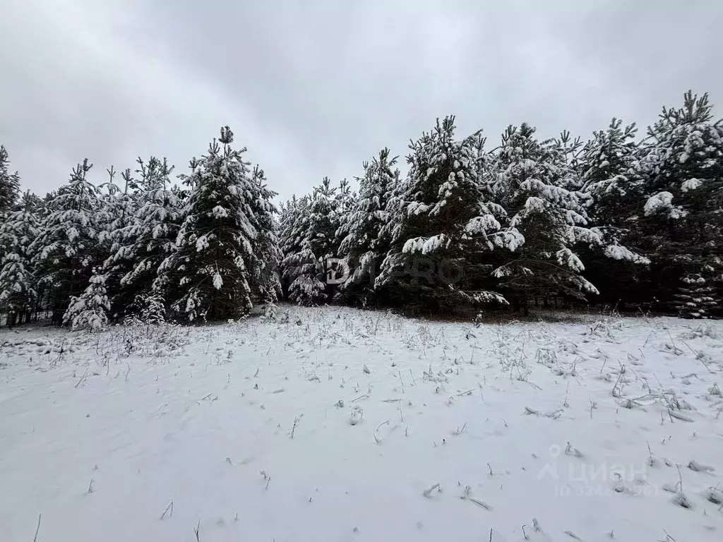 Участок в Кировская область, Слободской район, Шиховское с/пос, д. ... - Фото 1