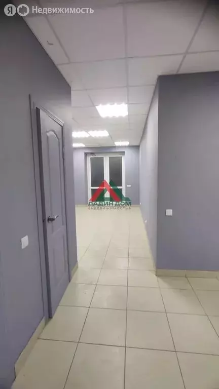 Помещение свободного назначения (53.1 м) - Фото 2