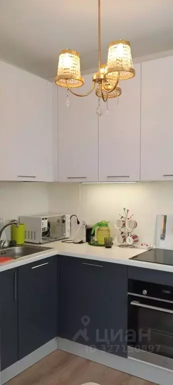 1-к кв. Московская область, Ленинский городской округ, Мисайлово пгт, ... - Фото 2