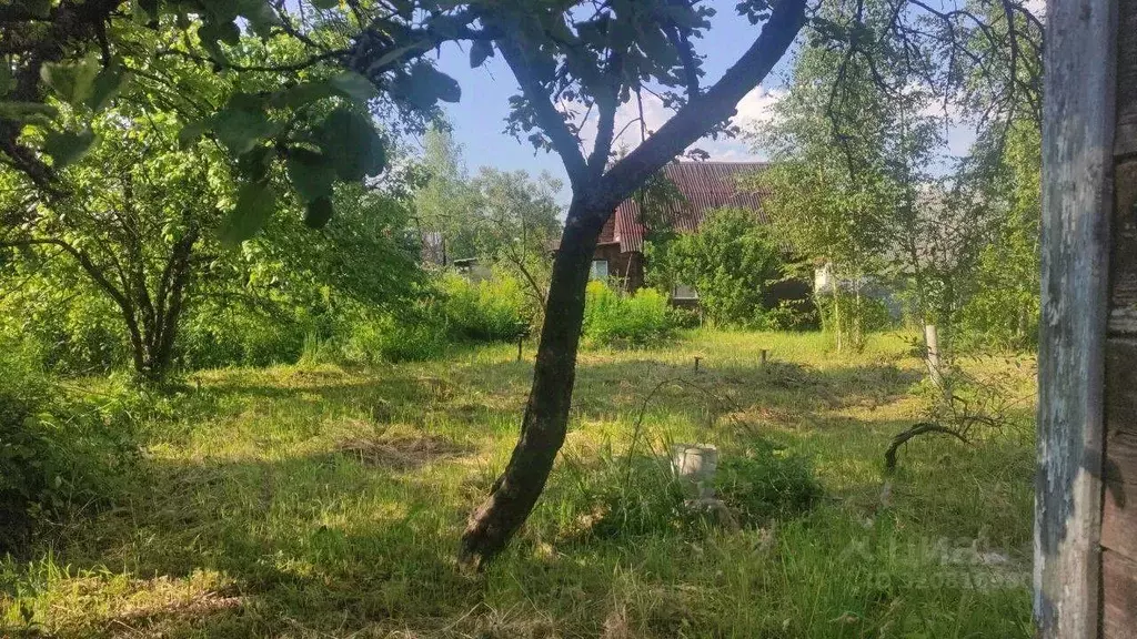 Дача, 30 м - Фото 1