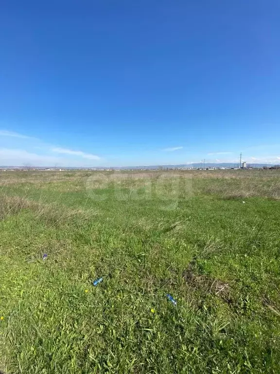 Участок в Ингушетия, Назрань  (1200.0 сот.) - Фото 1