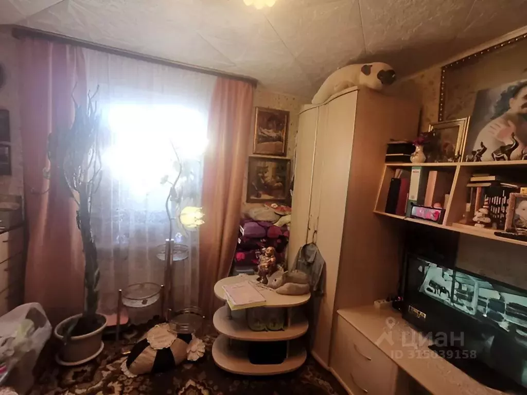 1-к кв. Владимирская область, Александровский район, Следневское ... - Фото 0